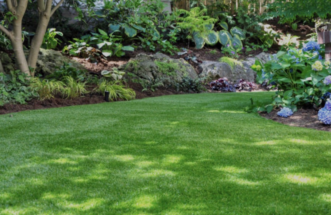 Fresh lawn and garden landscaping